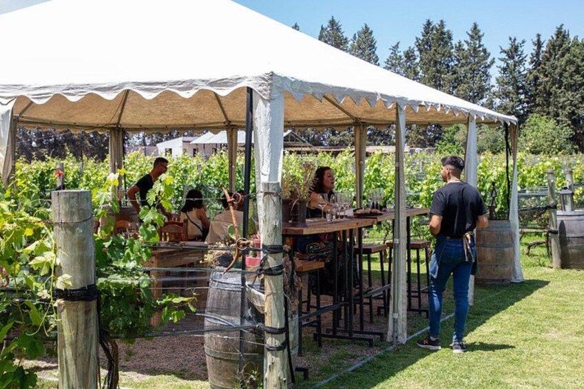 Lujan Deluxe - Full day - Premium Wine Tour with Gourmet Lunch 3