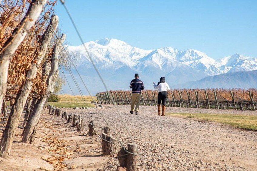 Lujan Deluxe - Full day - Premium Wine Tour with Gourmet Lunch 1