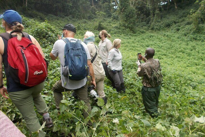 3 Days Bwindi Gorilla Trekking tour 3