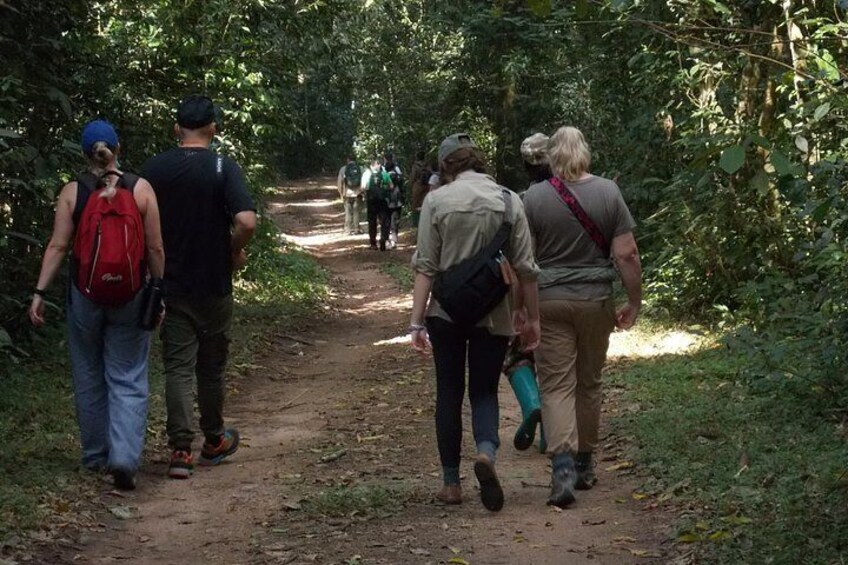 3 Days Bwindi Gorilla Trekking tour 5