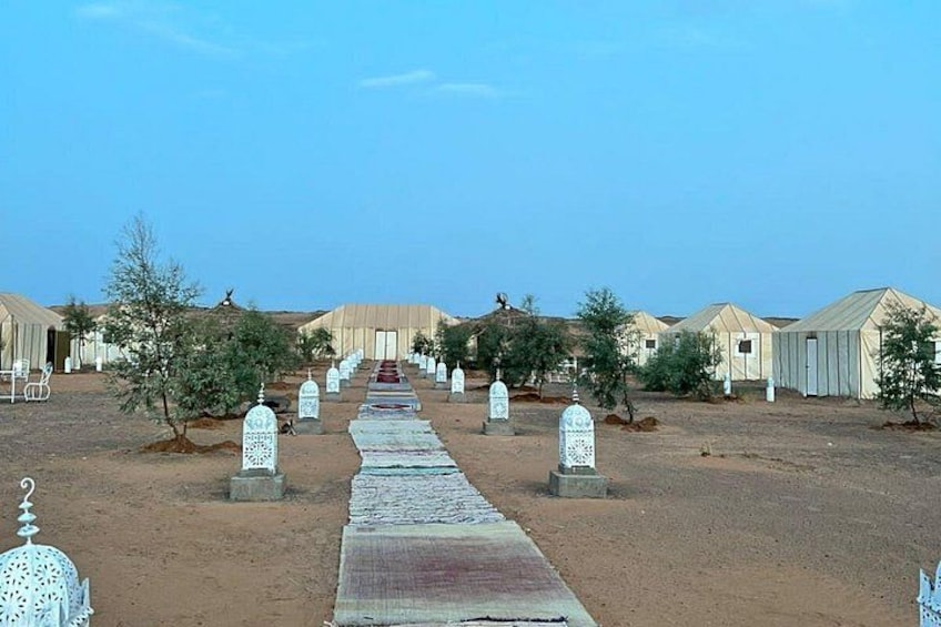A cemetery with headstones and tombs aligned in rows. 5