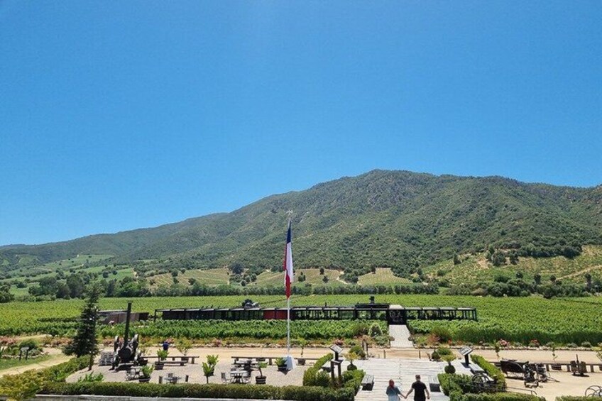Colchagua Valley Experience 1