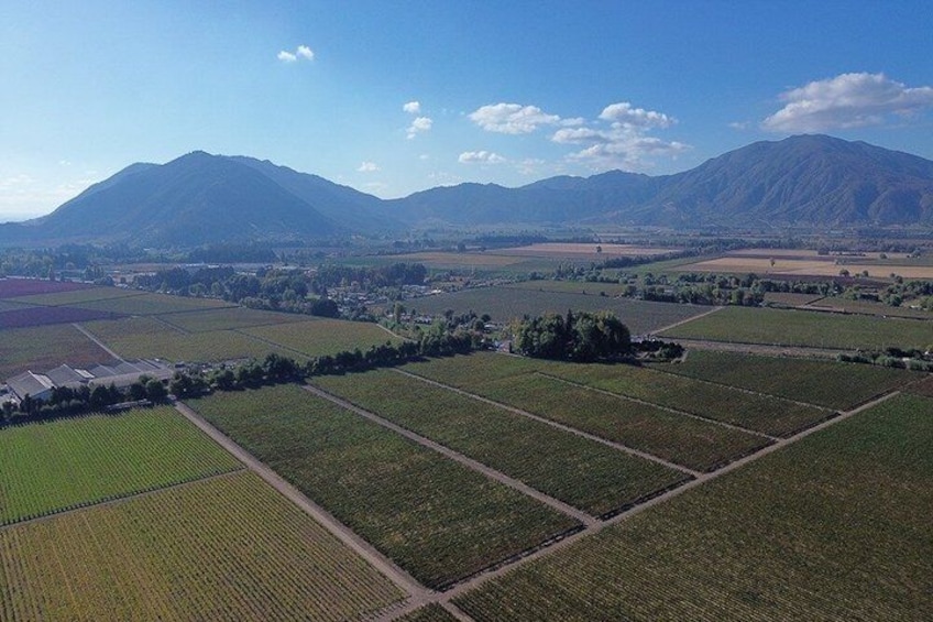Colchagua Valley Experience 2