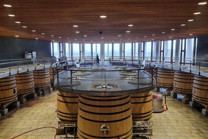 Colchagua Valley Experience 4