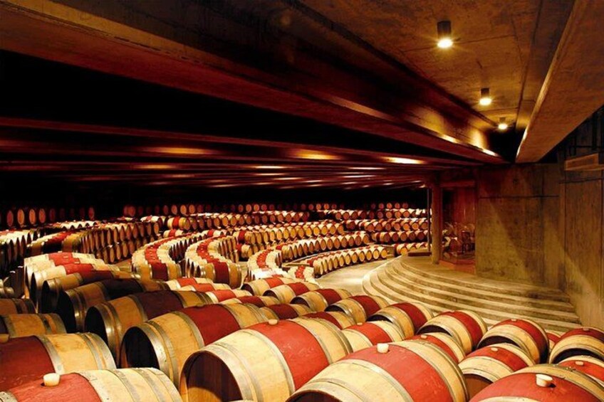 Winery of Guarda Viña Montes 2