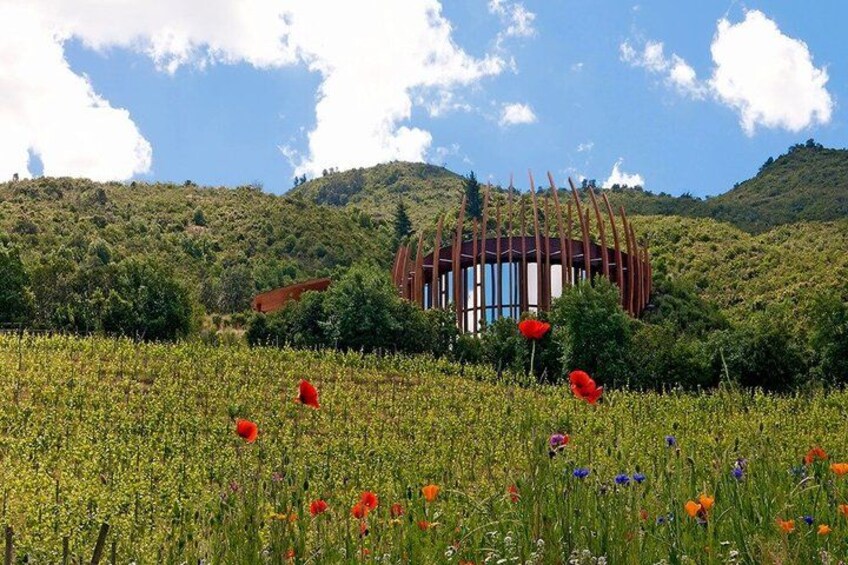 Colchagua Valley Experience 3