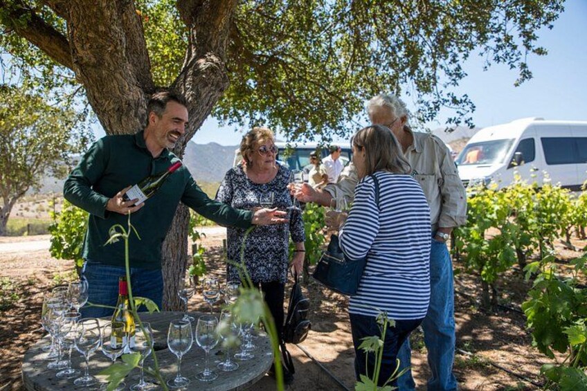 Tasting Villard Wine 3