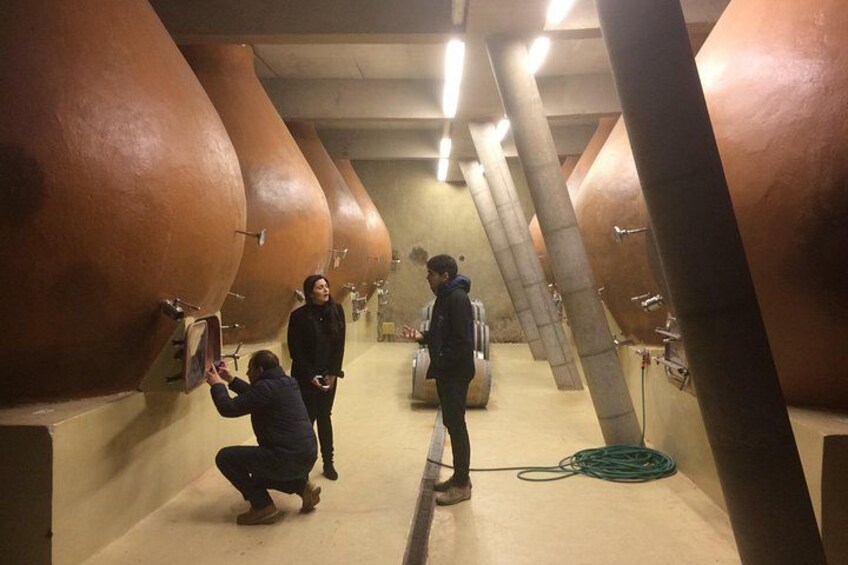 Concrete amphorae cellars re 5