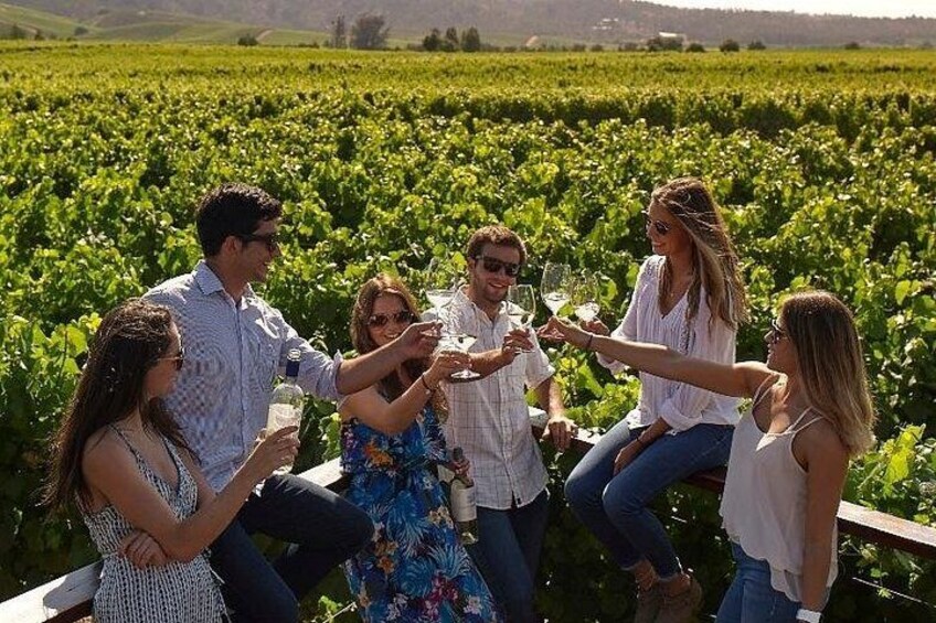 Eine Gruppe von Menschen sitzt auf einer Bank in einem Weinberg, umgeben von Reihen von Weinreben. 1