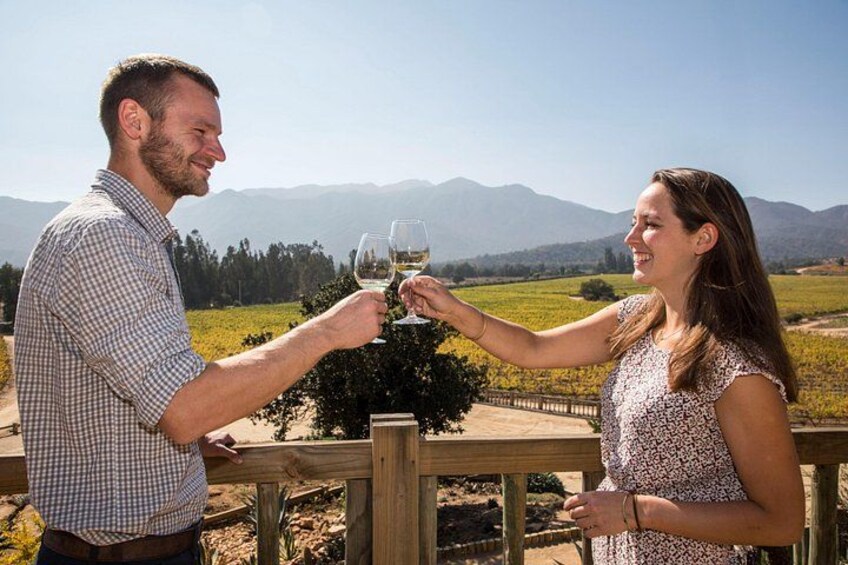 Terrace Villard Wine 4