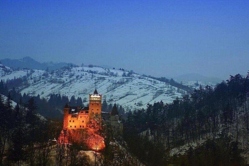 One day trip Bear Sanctuary, Dracula Castle, Rasnov Fortress from Brasov 2