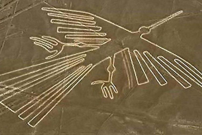 Exclusive 2 days Nazca Lines including Paracas & Huacachina 4