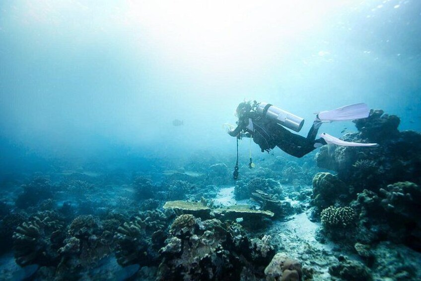 Deep Sea Exploring 5