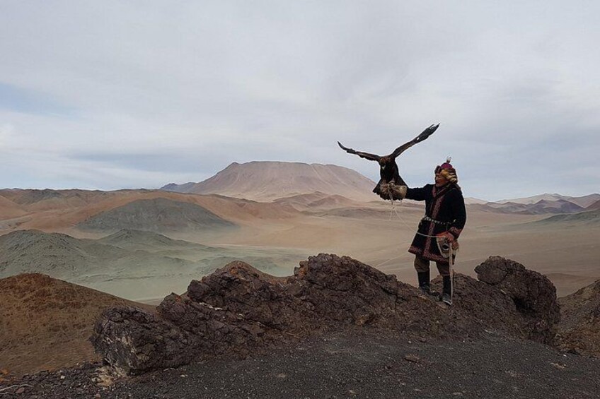 Demonstrating the training of Golden Eagles 1