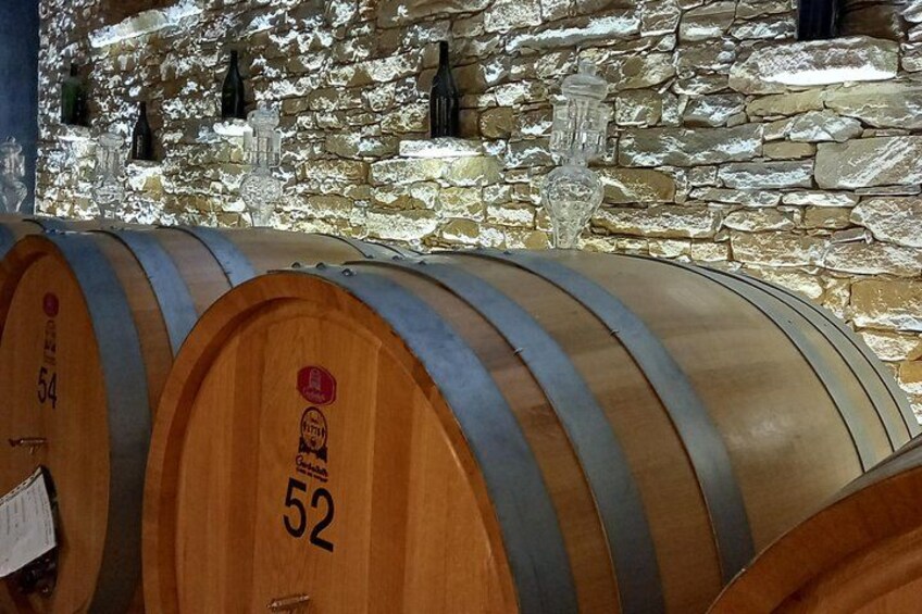 Truffle Hunt & Wine Tasting 3