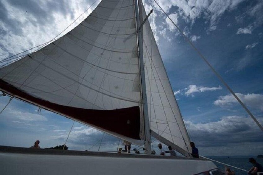 Snorkeling Sailing Guanacaste Costa Rica 2