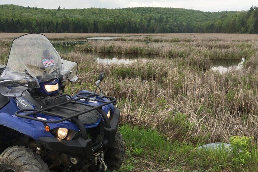 Private Guided ATV Tour in Calabogie with Lunch