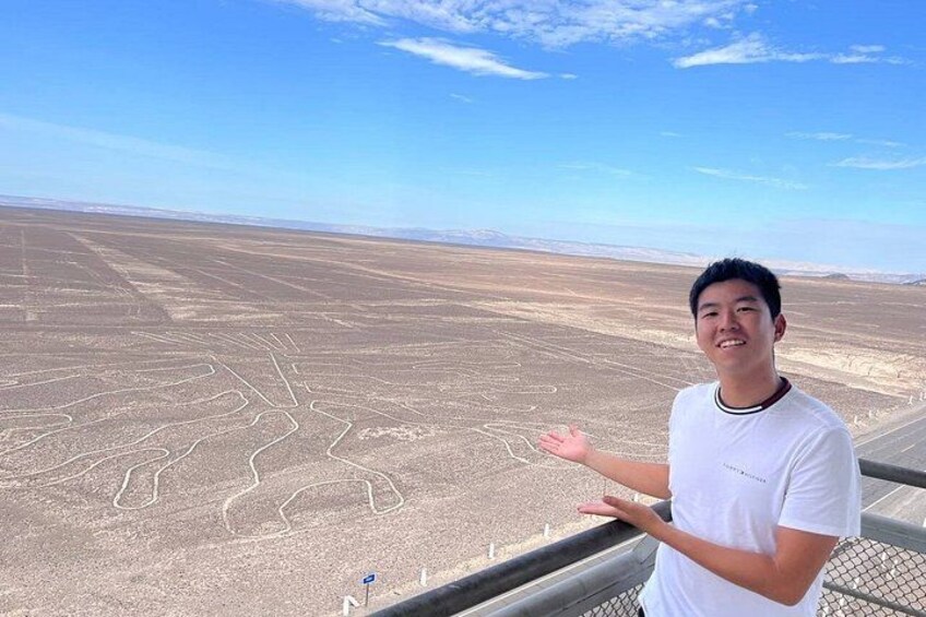 Nazca Lines includes luxury bus & Nazca lines flight 2