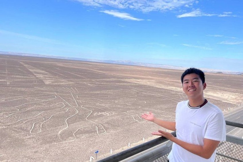 A person standing on a balcony overlooking a vast desert landscape with distinct linear patterns on the ground. 5