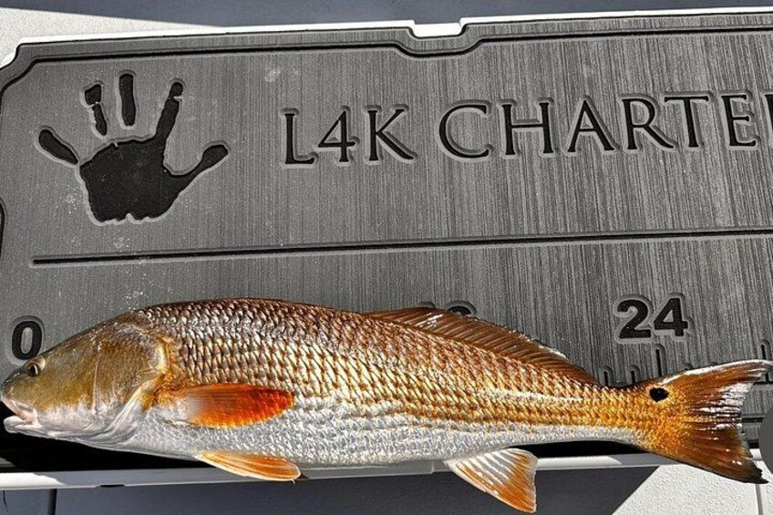 Inshore Fishing on the Waters of the Choctawhatchee Bay 4