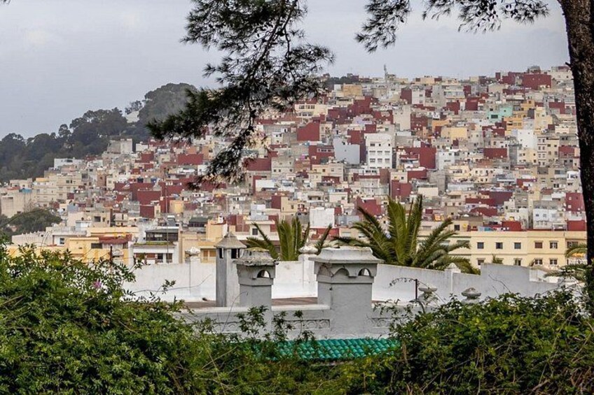 3h Private Walking Tour in Tangier Kasbah Medina & Colorful Souks 3