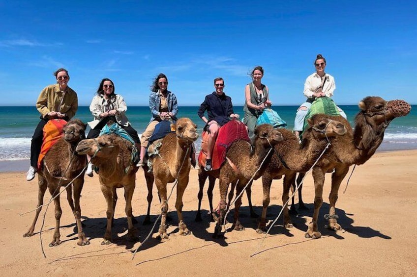 A group of people riding camels on a sandy beach with the ocean in the background. 1