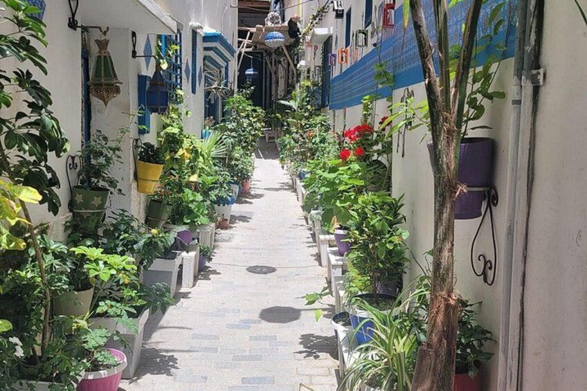 Tangier Private Day Tour From Tarifa Including Ferry & Camel Ride 3