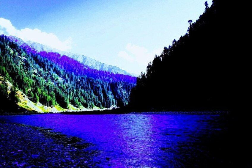 A lake surrounded by forested mountains. 1