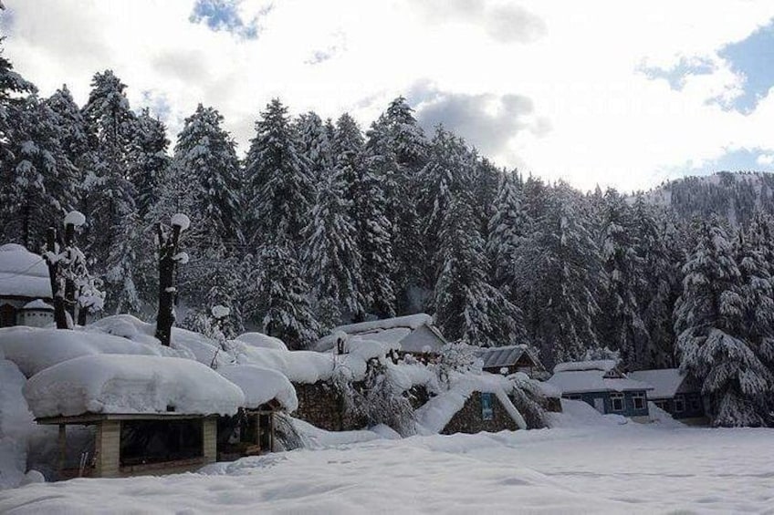 A snowy landscape with houses partially covered in snow, surrounded by dense evergreen trees. 5