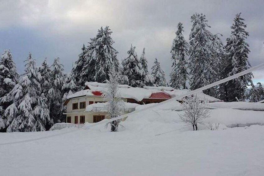 A snow-covered landscape with a house and trees. 4