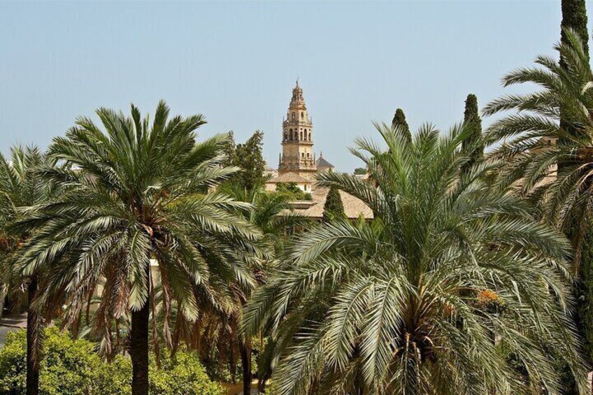 9 day guided tour Andalusia and Mediterranean Coast from Madrid 3