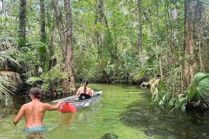 Glass Bottom Kayak Eco Tour through Rainbow Springs 2