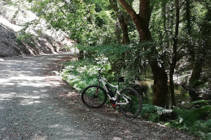 Explore Paphos forest with e-mountain bikes 1