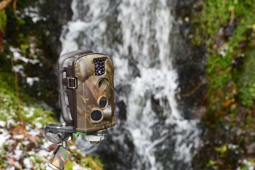 A wildlife camera camouflaged in a forest with a waterfall in the background. 5
