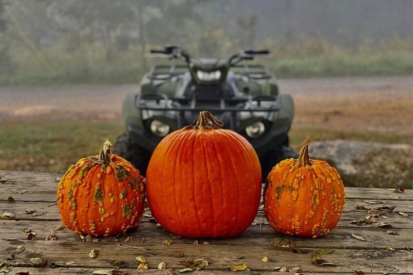 New River Gorge ATV Adventure Tour 3