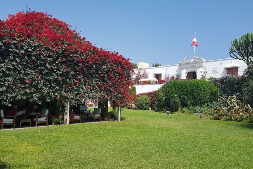 Un césped cuidado, un gran árbol con flores y un edificio con una bandera. 4