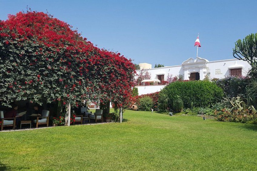 A well-maintained lawn, a white building with a flag, and a large flowering tree. 3