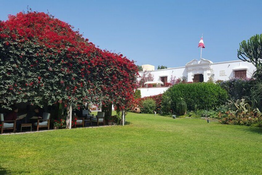 A well-maintained lawn, a large flowering tree, and a building with a flag in the background. 5