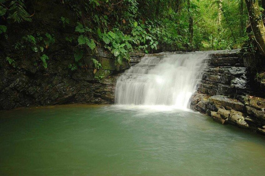 Una cascada que se precipita sobre rocas en una poza tranquila rodeada de vegetación densa. 3