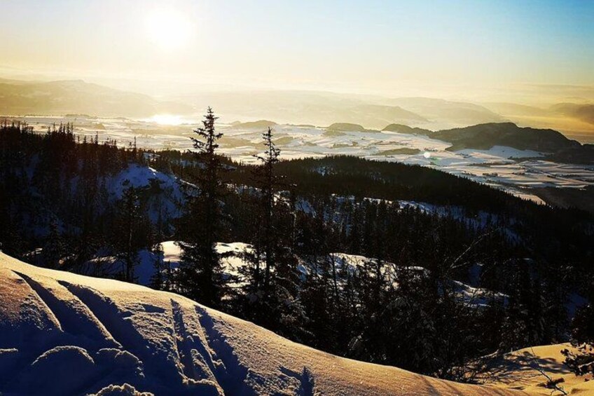 A snowy mountain landscape with trees and a distant view of the sun. 2