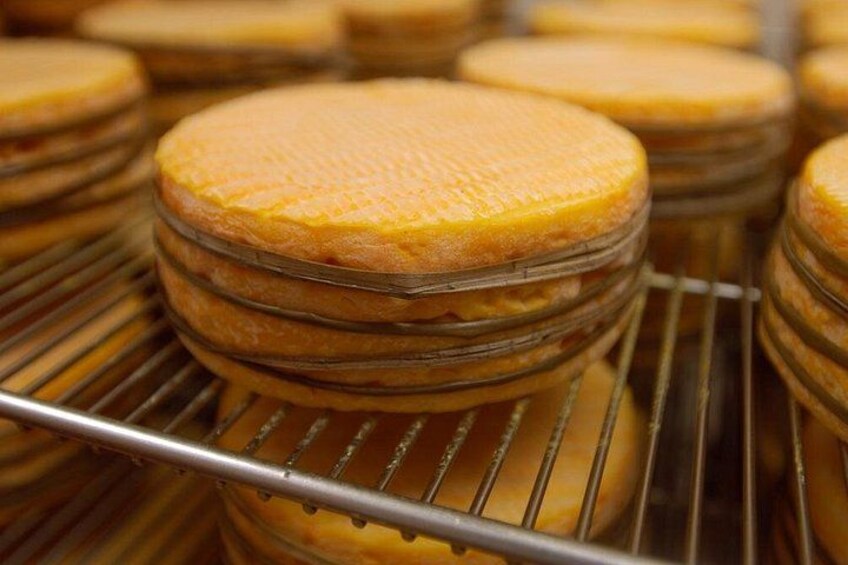 The Famous Livarot cheese in Livarot. 2