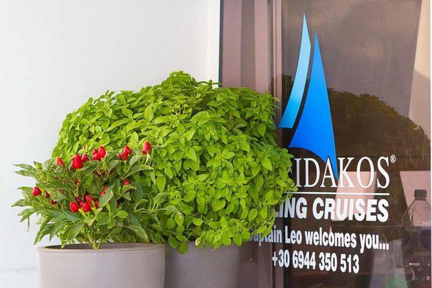 Ein Blumentopf mit roten Blüten und ein Schild für Ridakos Cruising Cruises. 3