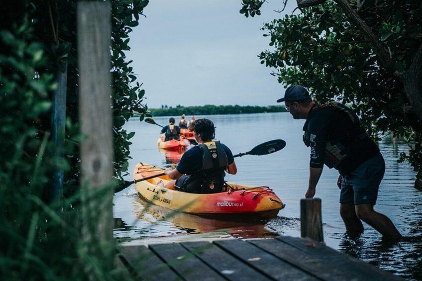 Thousand Island Mangrove Tunnel, Manatee & Dolphin Kayak Tour w/Cocoa Kayaking 4