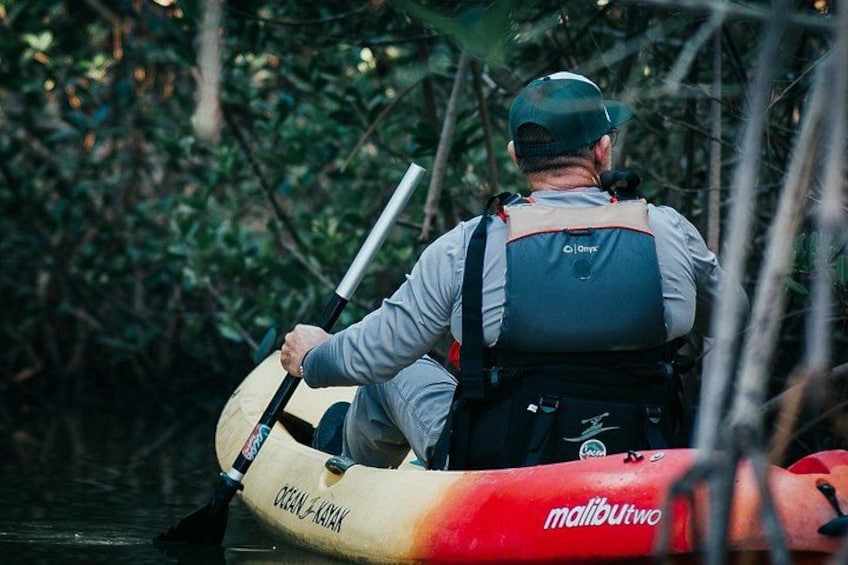 Thousand Island Mangrove Tunnel, Manatee & Dolphin Kayak Tour w/Cocoa Kayaking 5