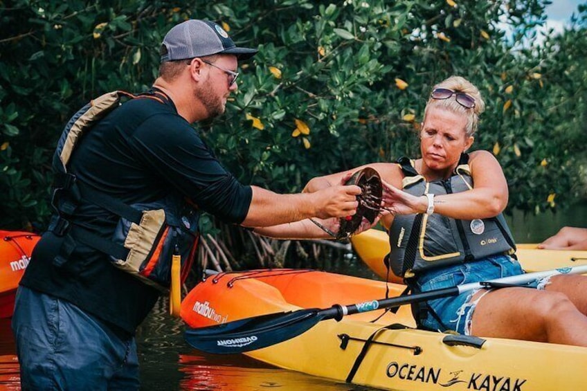 Thousand Island Mangrove Tunnel, Manatee & Dolphin Kayak Tour w/Cocoa Kayaking 2