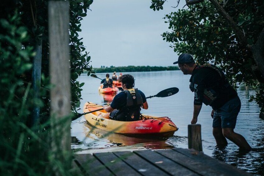 Thousand Island Mangrove Tunnel, Manatee & Dolphin Kayak Tour w/Cocoa Kayaking 4