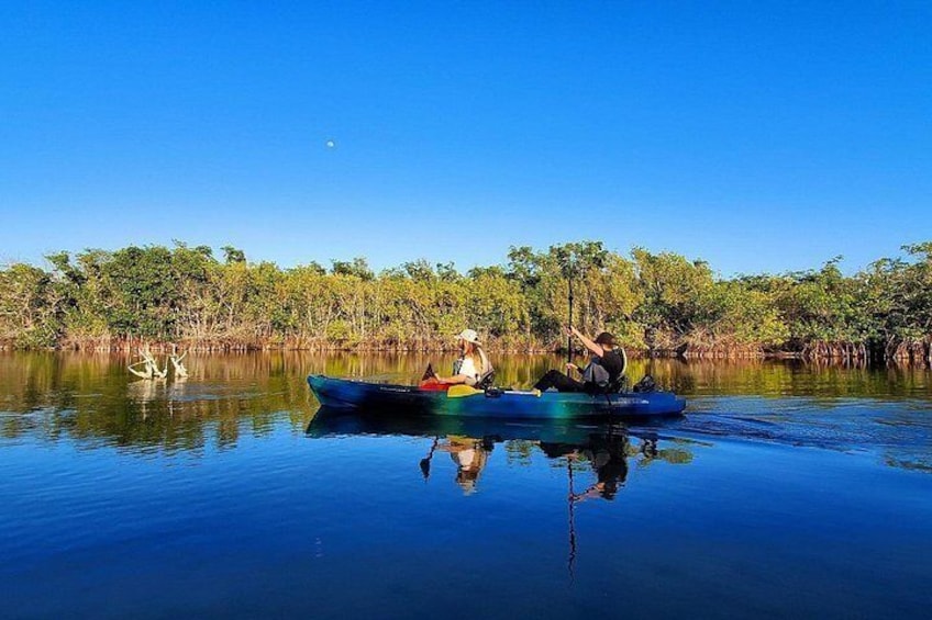 Thousand Islands Mangrove Tunnel Sunset Kayak Tour with Cocoa Kayaking! 4