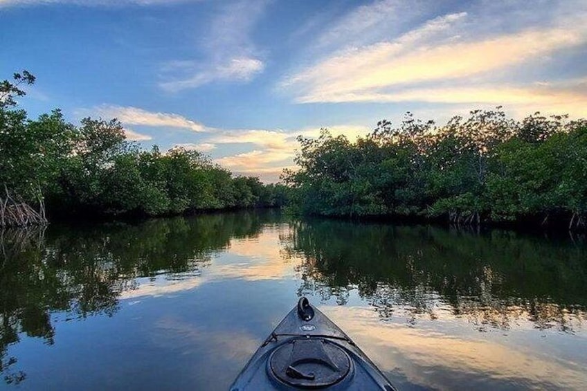 Thousand Islands Mangrove Tunnel Sunset Kayak Tour with Cocoa Kayaking! 2