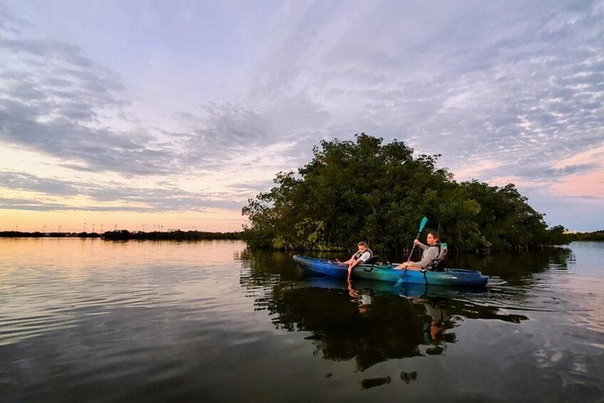 Thousand Islands Mangrove Tunnel Sunset Kayak Tour with Cocoa Kayaking! 1