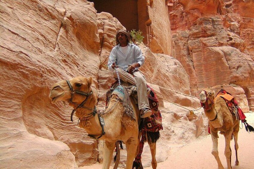 1 Day Tour to Petra From Sharm-el-Sheikh 3